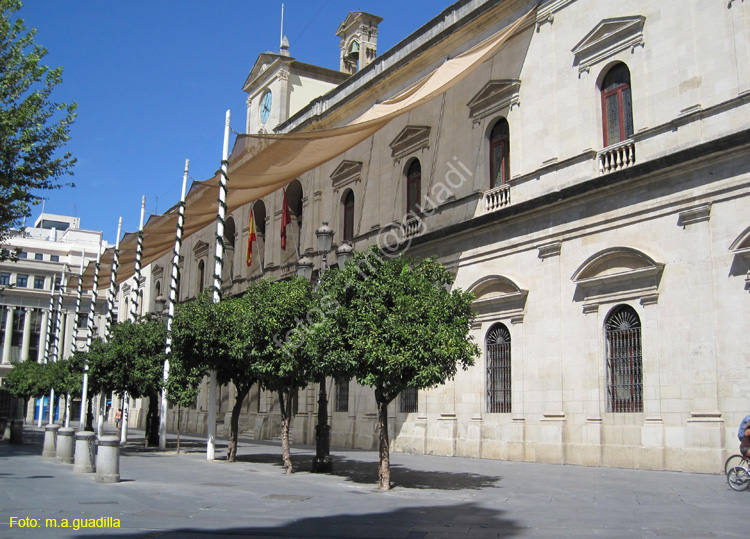 SEVILLA (295) Ayuntamiento