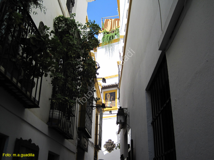 SEVILLA (305) Barrio de Santa Cruz