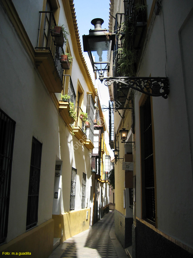 SEVILLA (311) Barrio de Santa Cruz