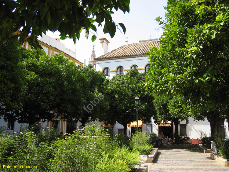 SEVILLA (314) Plaza de Dª Elvira