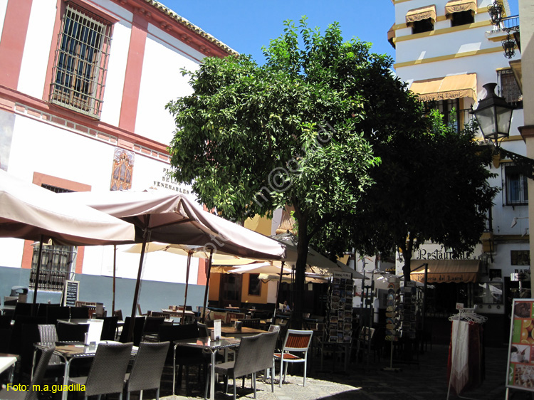 SEVILLA (318) Plaza de los Venerables