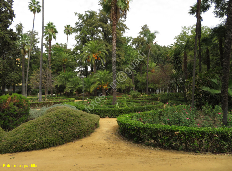 SEVILLA (418) Villa Virgen de los Reyes 1938