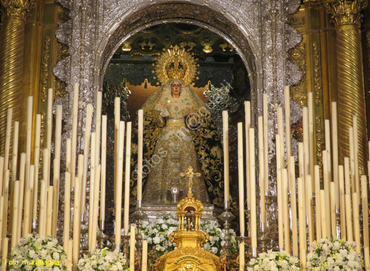 SEVILLA (555) Basilica de la Macarena