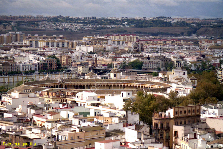 SEVILLA (607) La Mestranza