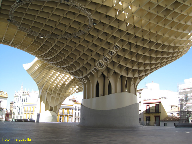 SEVILLA (700) Plaza de la Encarnacion