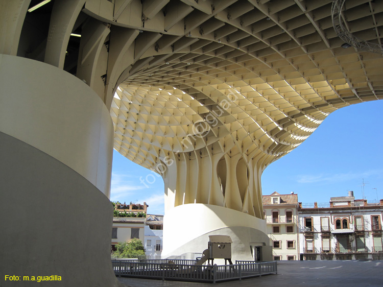 SEVILLA (701) Plaza de la Encarnacion