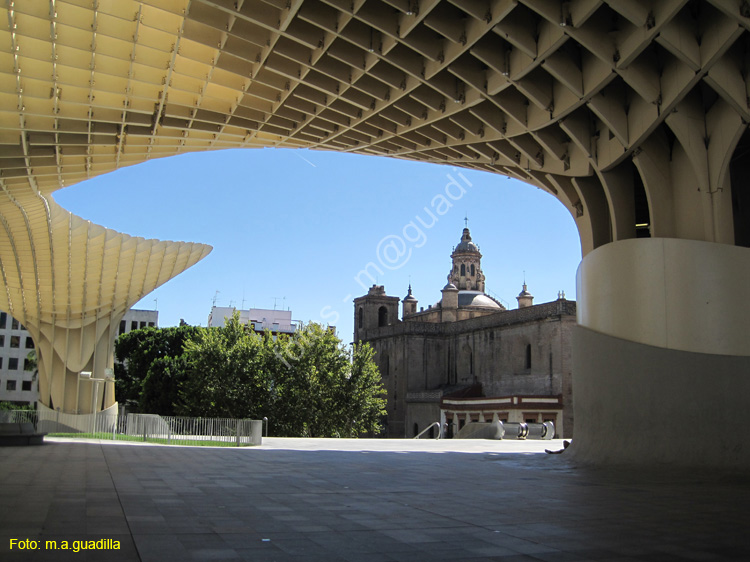 SEVILLA (702) Plaza de la Encarnacion