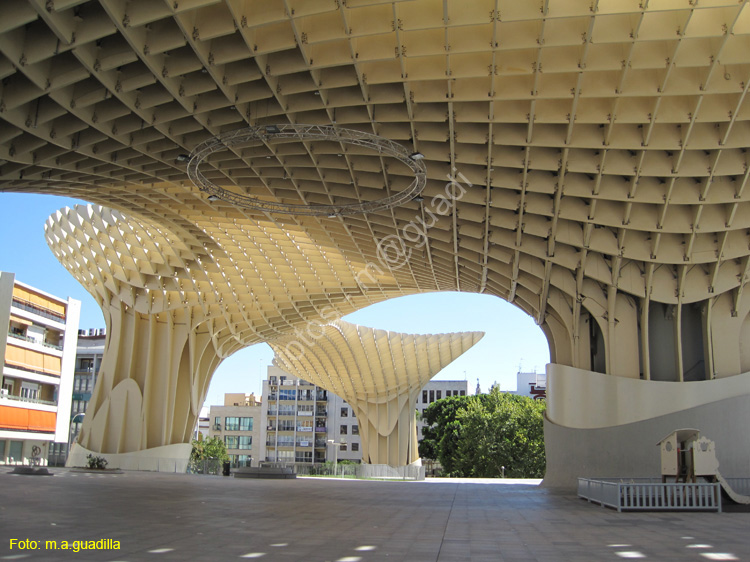 SEVILLA (703) Plaza de la Encarnacion