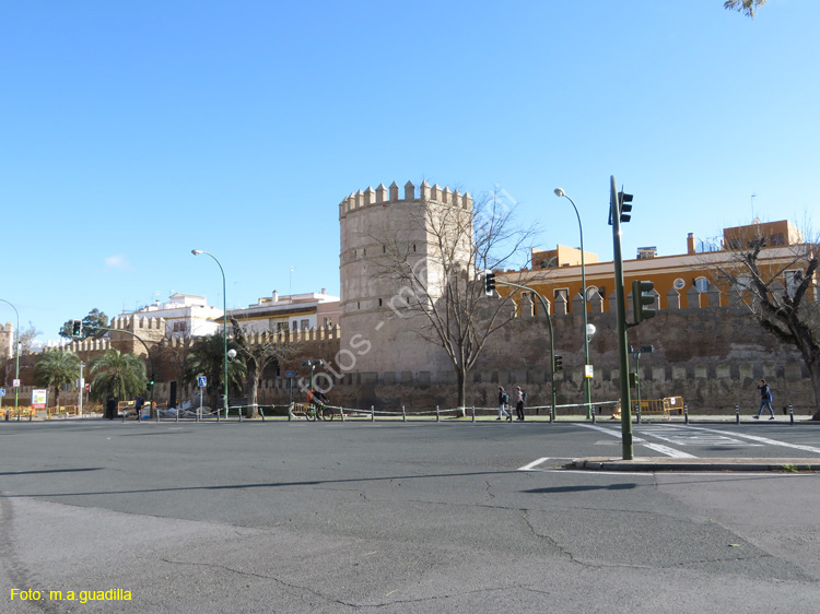 SEVILLA (713) Muralla