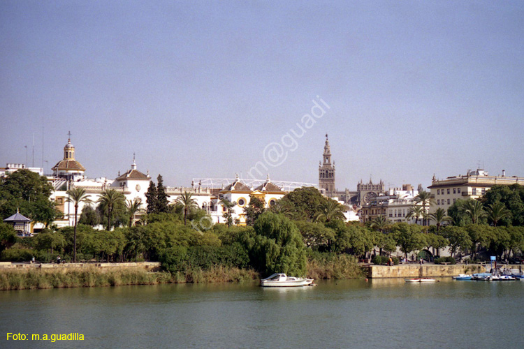 SEVILLA (721)