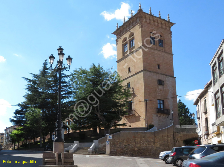 SORIA (247) Palacio de los Condes de Gomara