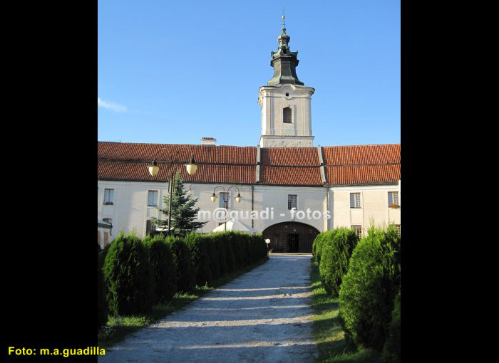 SULEJOW - Podklasztorze (101)