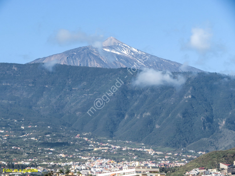 EL TEIDE (101)