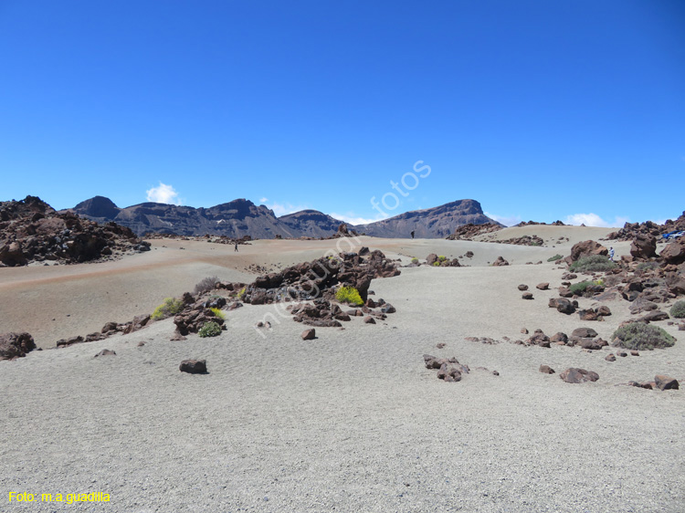 EL TEIDE (102)
