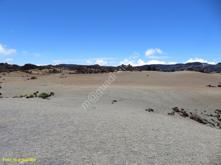 EL TEIDE (104)