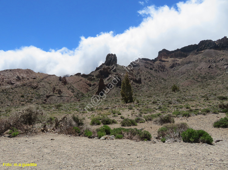EL TEIDE (108)