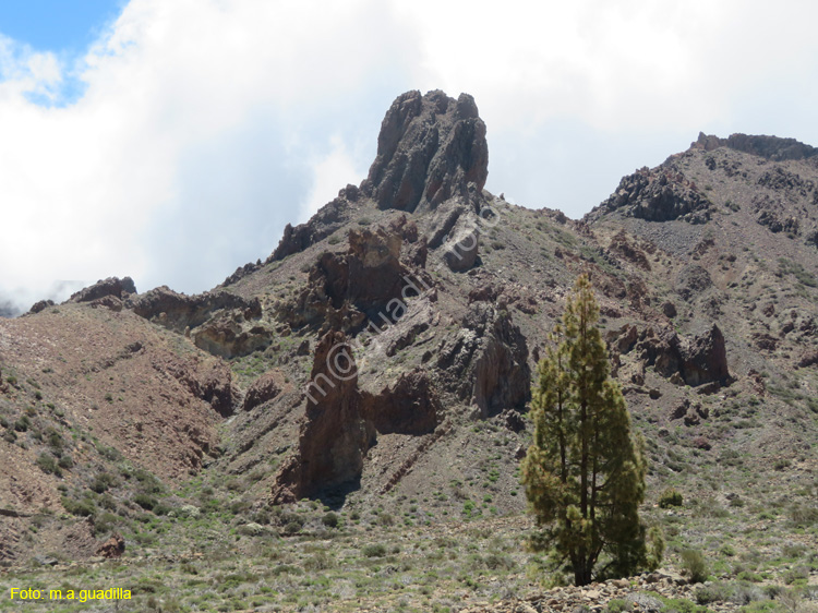EL TEIDE (109)