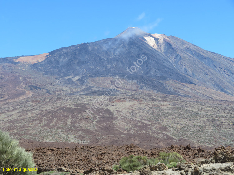 EL TEIDE (113)