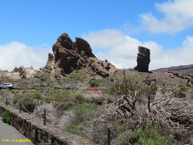 EL TEIDE (116)