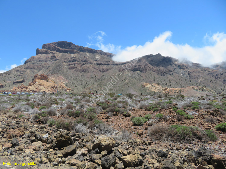 EL TEIDE (119)