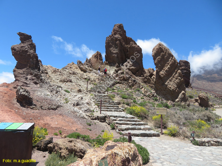EL TEIDE (121)
