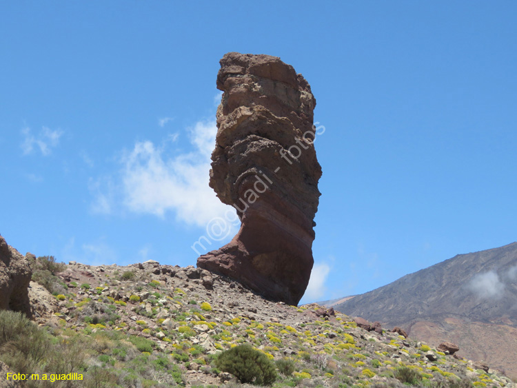 EL TEIDE (123)
