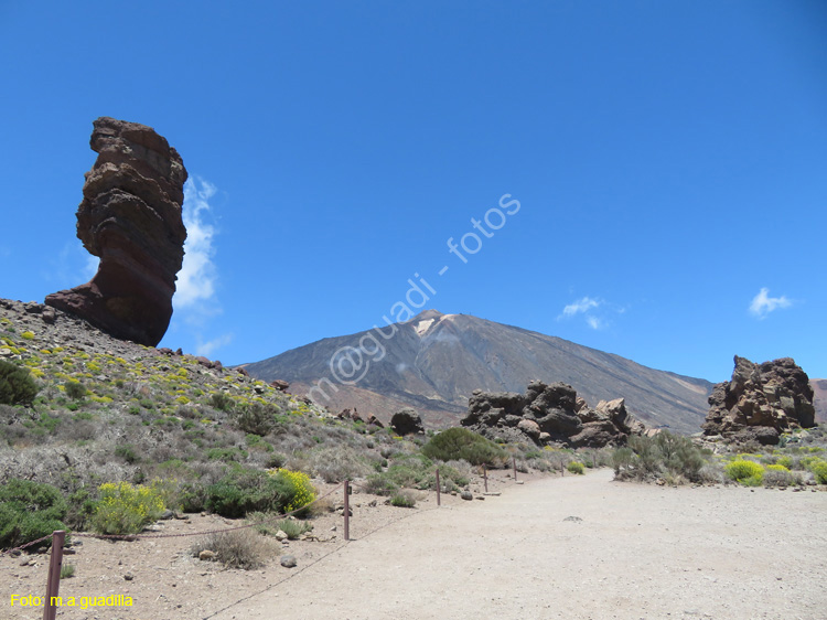 EL TEIDE (124)