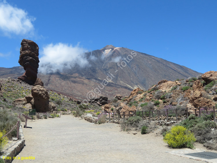 EL TEIDE (125)