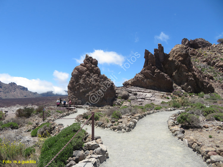 EL TEIDE (135)