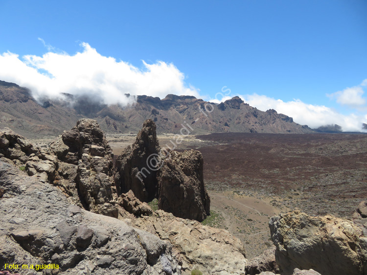 EL TEIDE (136)
