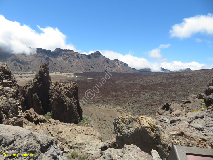 EL TEIDE (137)