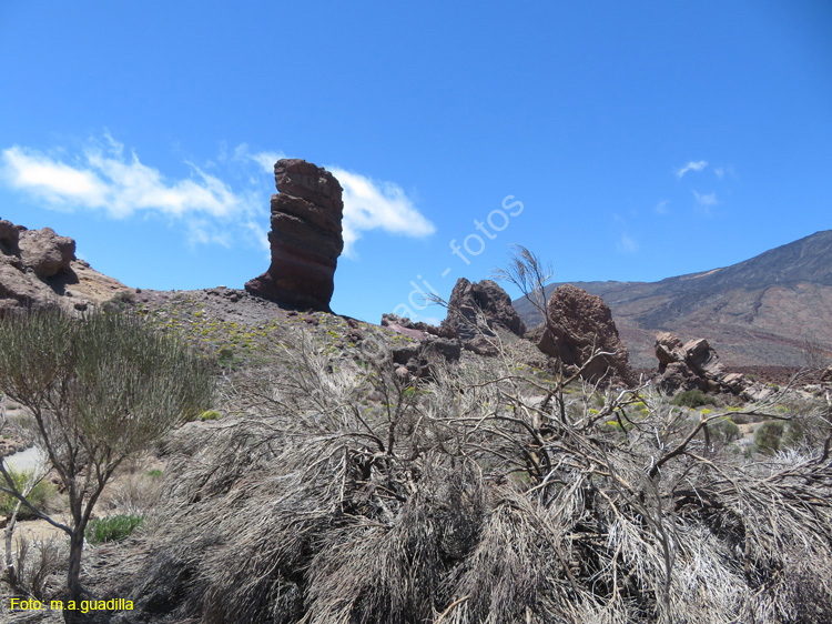 EL TEIDE (139)