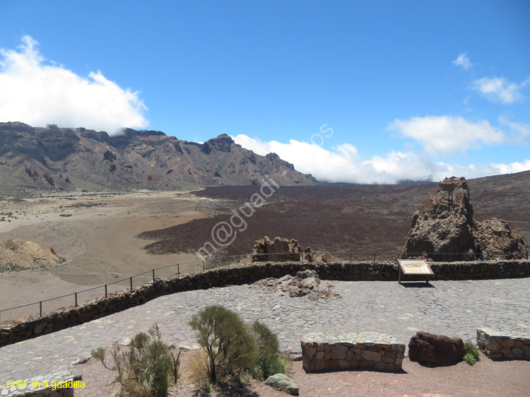 EL TEIDE (141)
