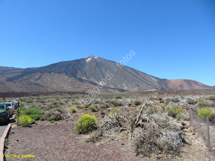 EL TEIDE (146)