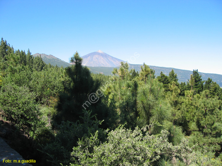 EL TEIDE (152) 2007