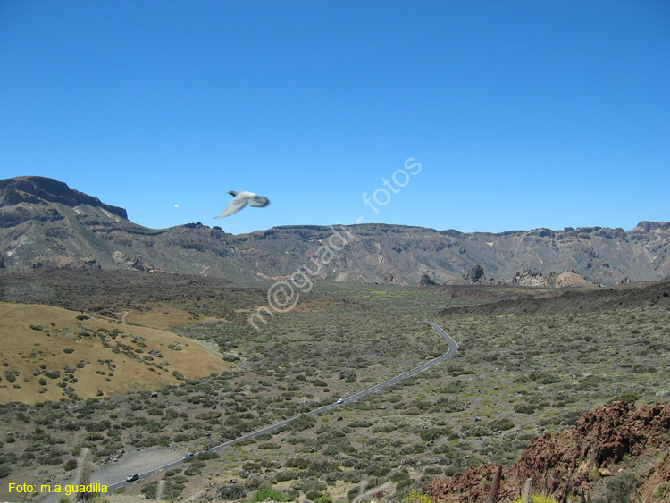 EL TEIDE (170) 2007