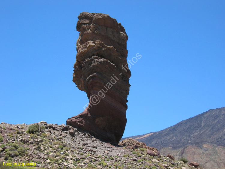 EL TEIDE (184) 2007