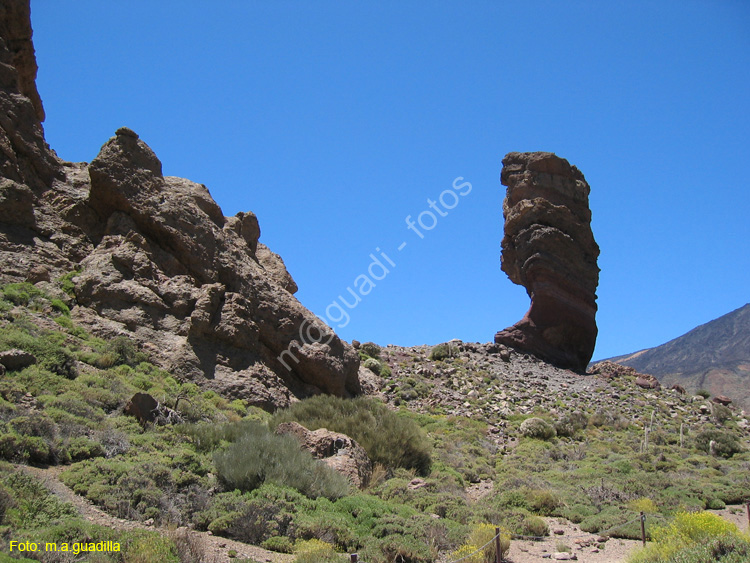 EL TEIDE (185) 2007