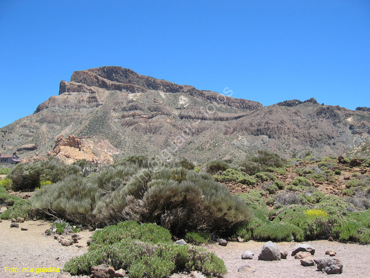 EL TEIDE (186) 2007