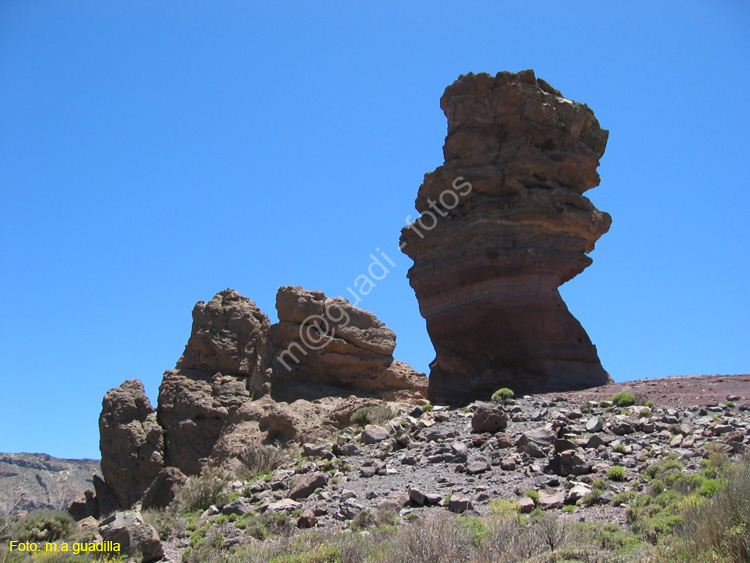 EL TEIDE (188) 2007