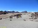 EL TEIDE (102)