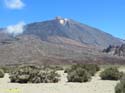 EL TEIDE (106)