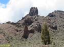 EL TEIDE (109)