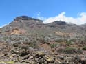 EL TEIDE (119)