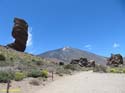 EL TEIDE (124)