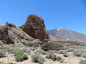 EL TEIDE (134)