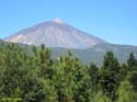 EL TEIDE (154) 2007