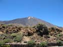 EL TEIDE (177) 2007
