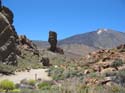 EL TEIDE (179) 2007