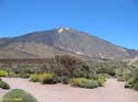 EL TEIDE (187) 2007